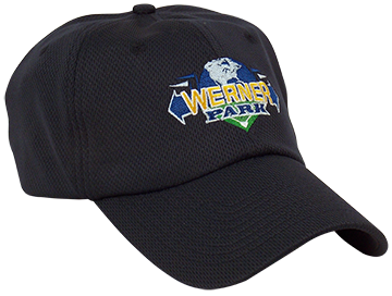Men\'s Werner Park Hat
